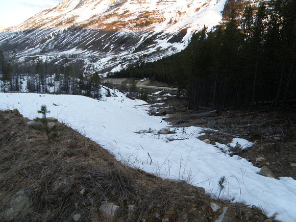 3 steps in break - Near top of firebreak - went left on a cleared trail over to drainage - ski trees along creek into valley.