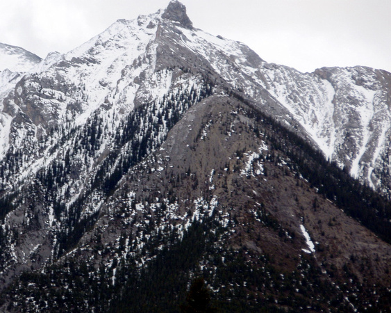 Ascent ridge from highway in April from near Harvie Heights.