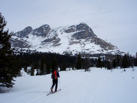 Ski up Lake Louise skiout from Fish creek park lot and past Temple lodge on Skoki trail.