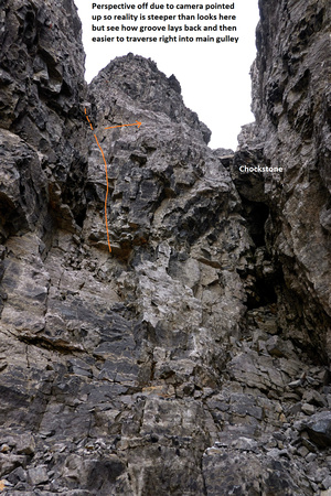 Devils Head Crux 2 (Large)