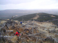 Deadfall/mudslide area