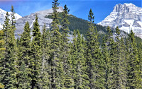 L Lougheed from road