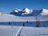 Healy Creek to Simpson Pass to Sunshine Dec 30/2010