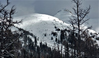 Slabs in Alpine. Judge to right. Skied trees on far right.