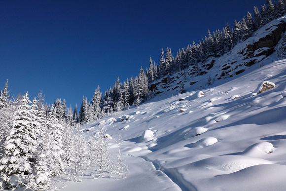 Trail went left and switched up through trees - gives better view of angle
